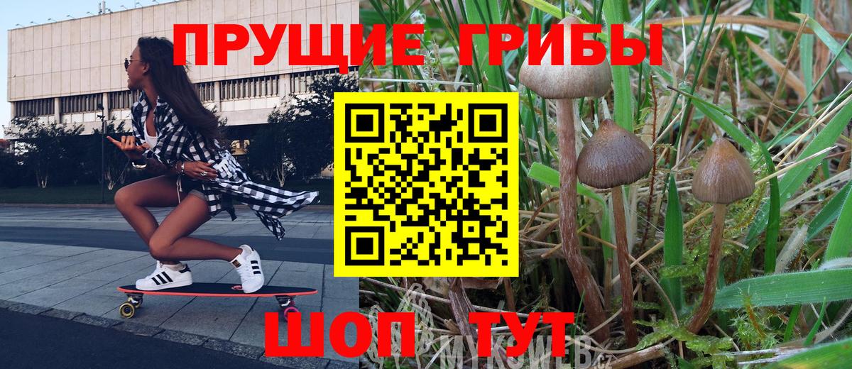 Отрадный  Галлюциногенные грибы мицелий  сколько стоит  Вход с VPN 